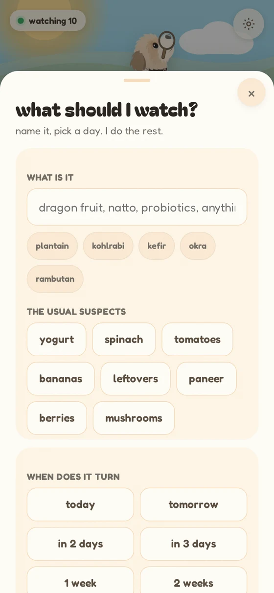 Adding an item in chiku: a friendly form asking what you bought and when to check on it, with one tap chips for common groceries